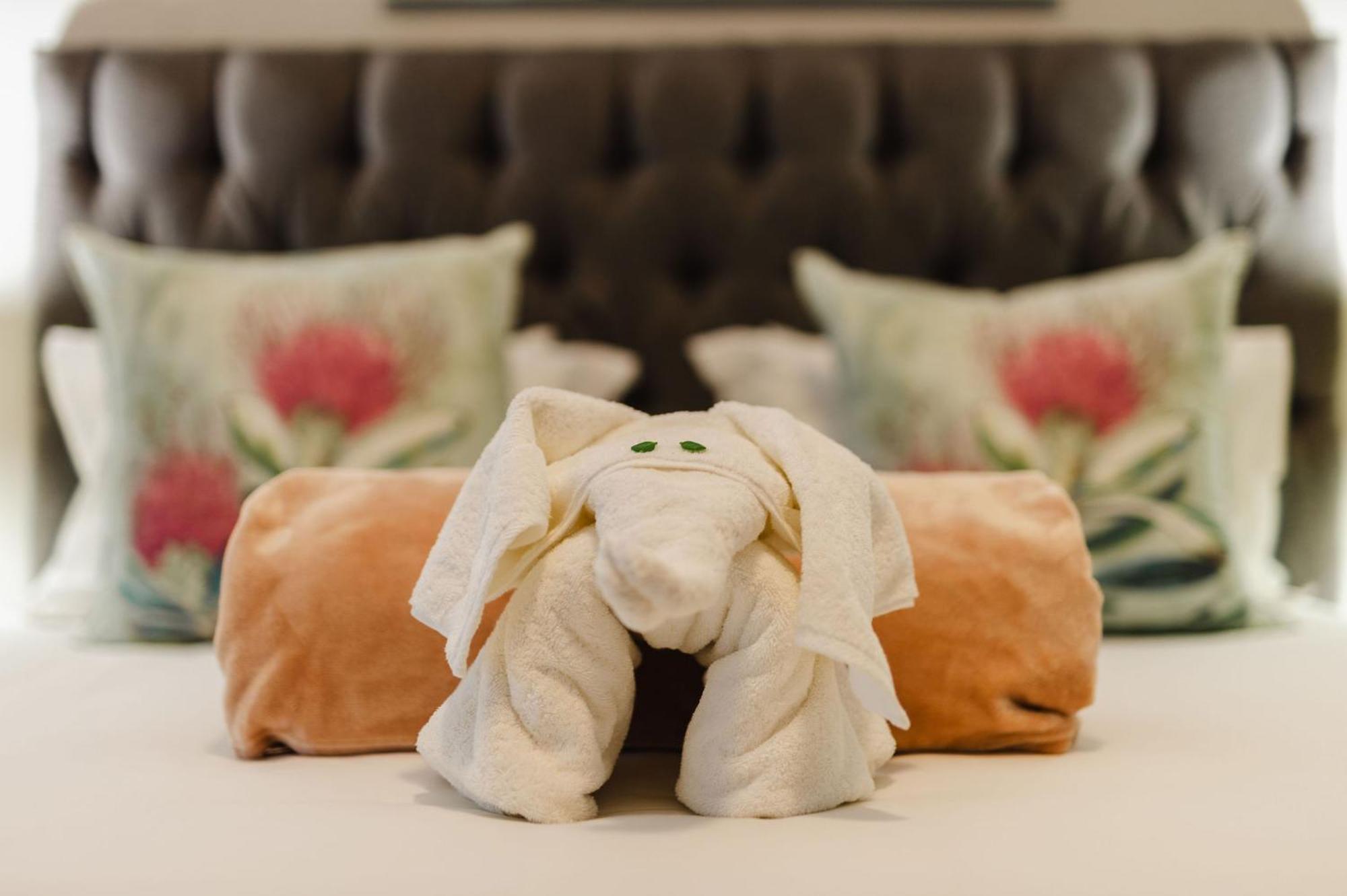 Hopefield Guesthouse-아도 객실 사진